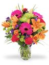 Bouquet arcobaleno vivace
