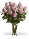 12 rose rosa a bouquet