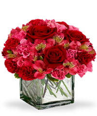 Composizione compatta di fiori rossi
