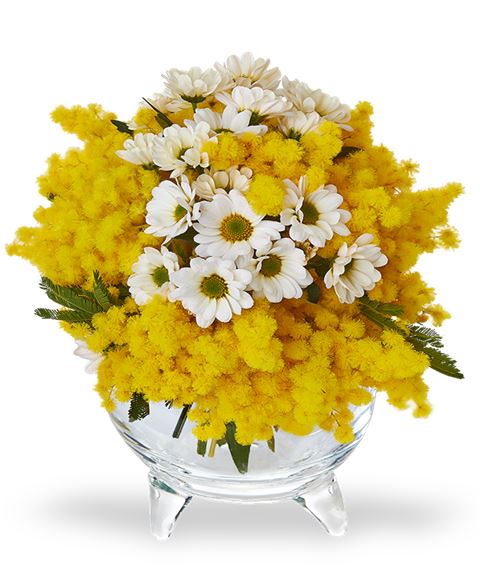 Bouquet di mimosa
