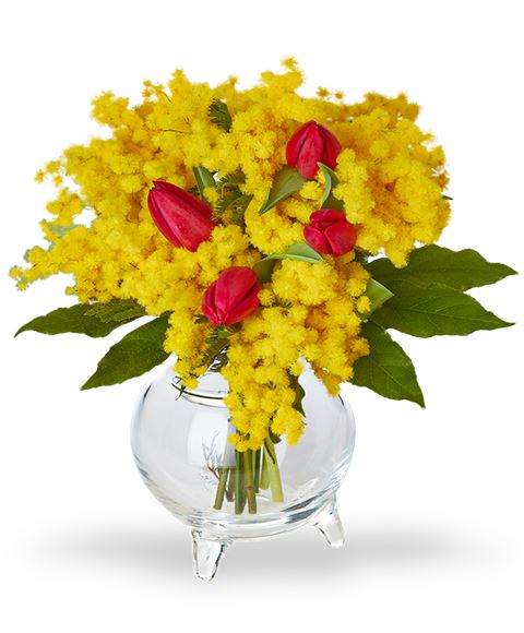 Bouquet di mimosa